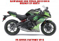Preview: EV-X Grün für Kawasaki Ninja 650 2012-2016